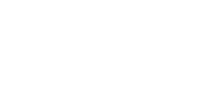 marleaus action maintenance logo white